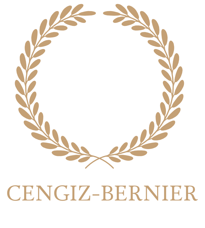 Logo qui représente une couronne avec une sorte d'épée au centre qui fait office de balance de la justice.